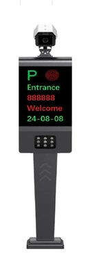 High Accuracy License Tag Recognition for Standard Plate Size B2B Efficiency Made Easy